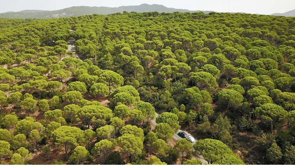 Taşocağı için verilen “ÇED olumlu” kararı iptal edildi…