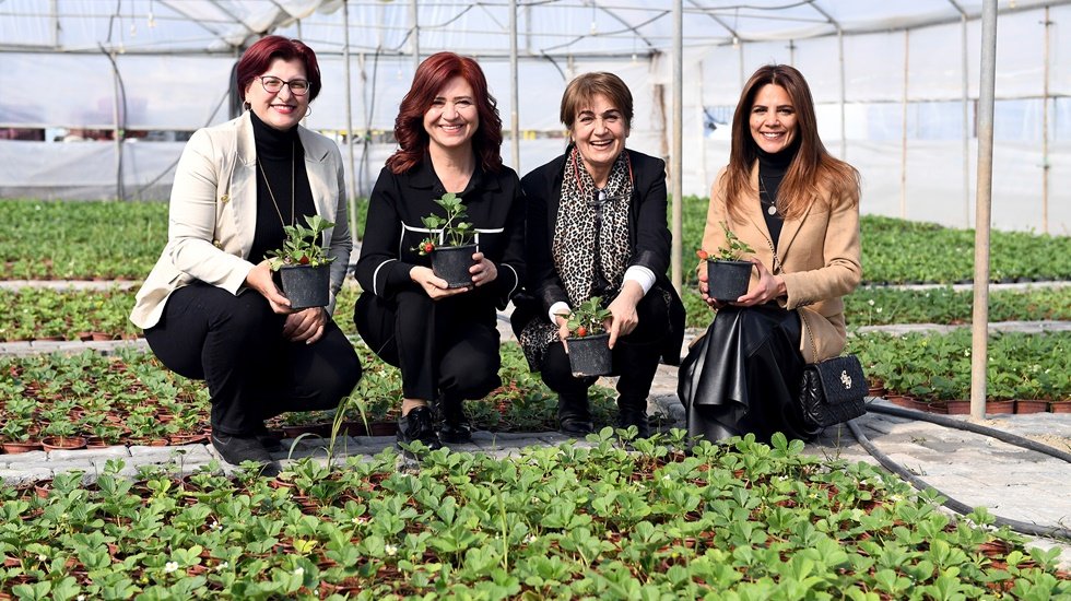 Ata Toprağından T&uuml;rkiye&rsquo;ye Silifke &Ccedil;ileği