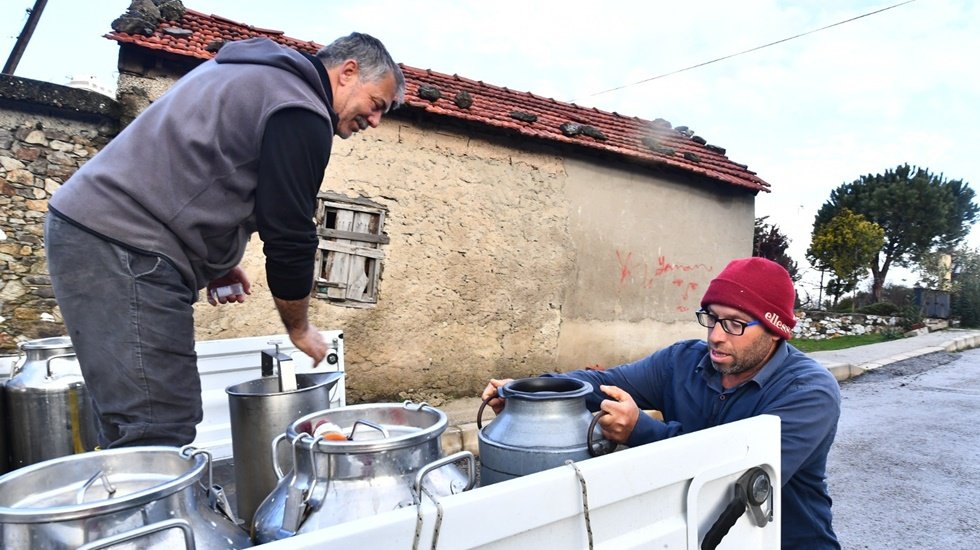 &ldquo;Başka Bir Tarım M&uuml;mk&uuml;n&rdquo; projesi ile İzmir&rsquo;de s&uuml;t &uuml;reticisi nefes almaya başladı
