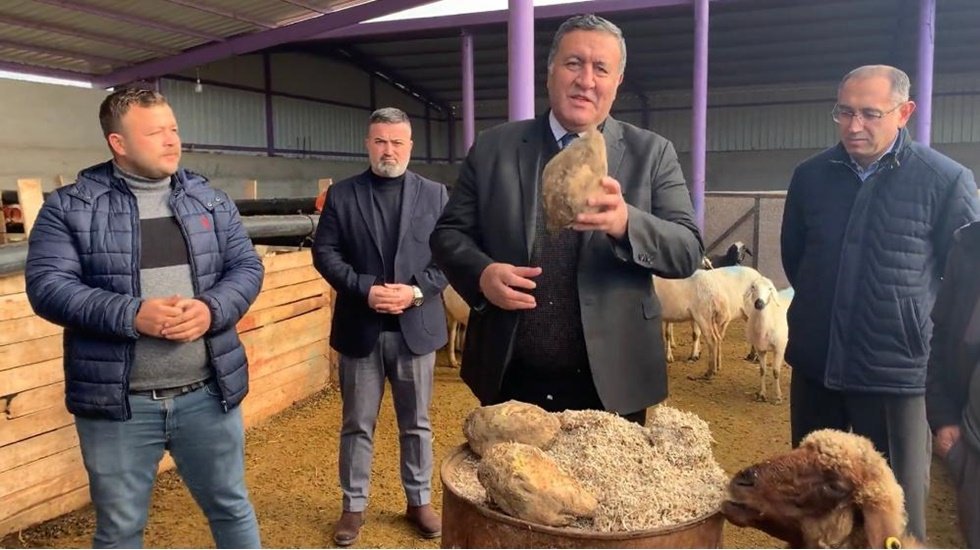 G&uuml;bre ve yem fiyatları y&uuml;kseliyor iktidar seyrediyor