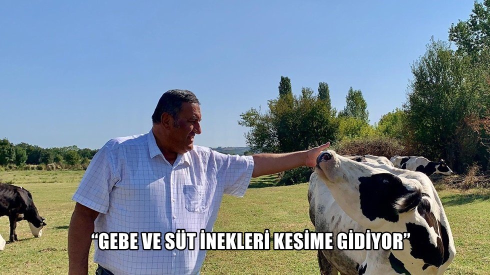G&uuml;rer: &ldquo;Pandemiden, kuraklıktan&nbsp;ders&nbsp;almayan iktidar, savaştan da ders almadı&rdquo;