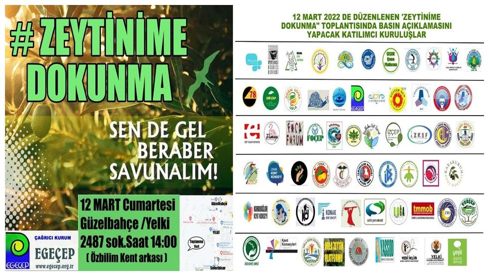 Güzelbahçe’de “Zeytin Hayattır, Zeytinime Dokunma!” etkinliği