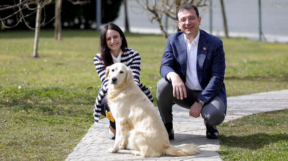 İstanbul’da sokak hayvanlarını sahiplendirme seferberliği başlıyor