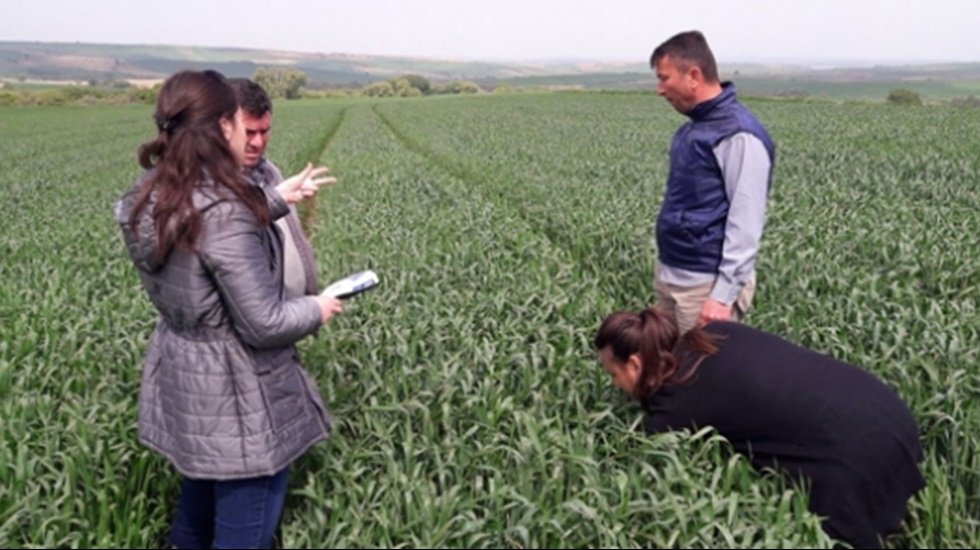 Samsun ZMO Başkanı &Ccedil;obancı : Tarım Danışmanları haklarını istiyorlar!