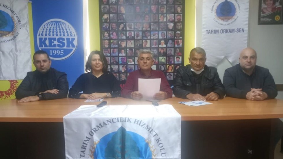 Tam da şimdi, zeytinliklerimizi korumak zamanıdır...