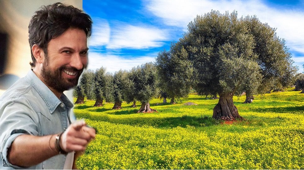Tarkan'dan 'zeytinime dokunma' paylaşımı