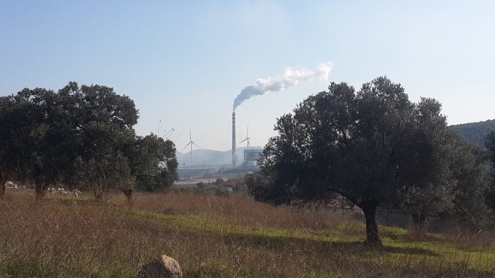 Zeytinliklerin 3 km&nbsp;yakınına&nbsp;bile tesis a&ccedil;ılamaz