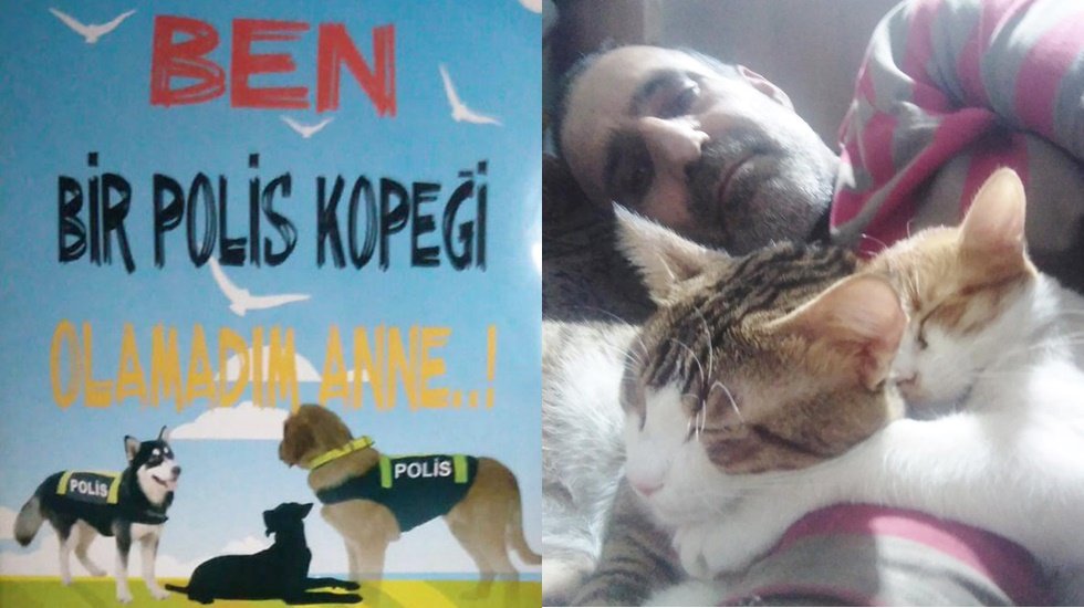 Adanalı kimsesiz yazardan sokak hayvanlarına adanan bir &ouml;m&uuml;r&hellip;