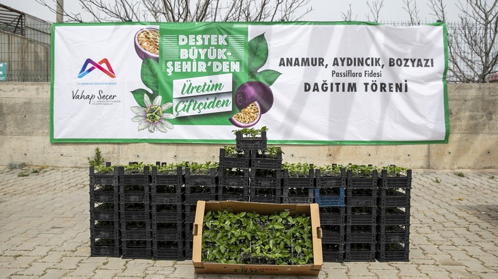 B&uuml;y&uuml;kşehir&rsquo;den 28&rsquo;i kadın toplam 59 &uuml;reticiye 7 bin 375 passiflora fidesi