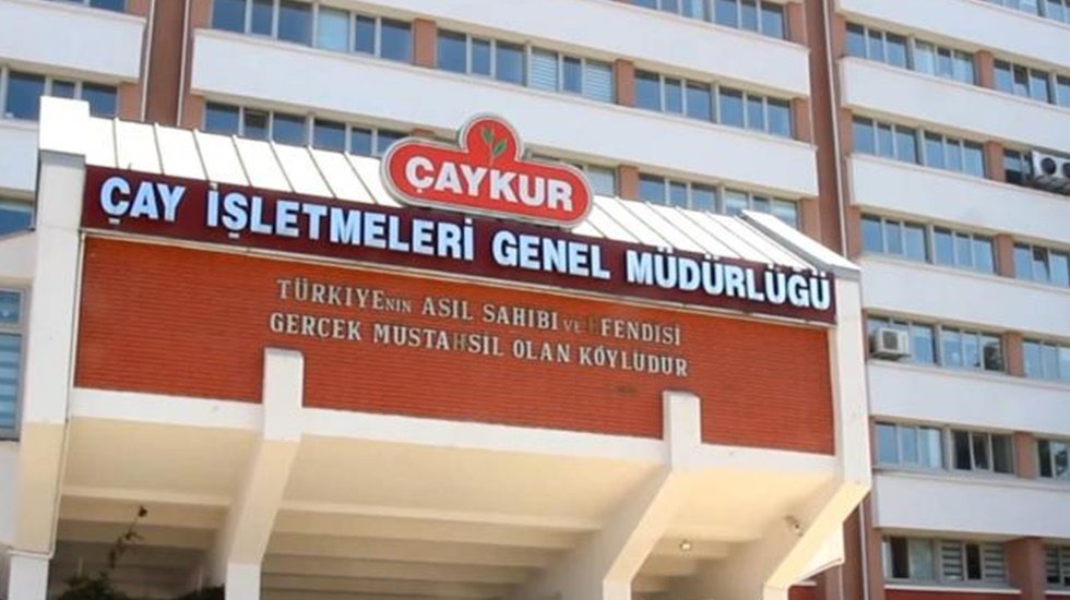 Daire Başkanı: Ben bu listeleri tanımam, derdinizi İŞ-KUR'a anlatın!