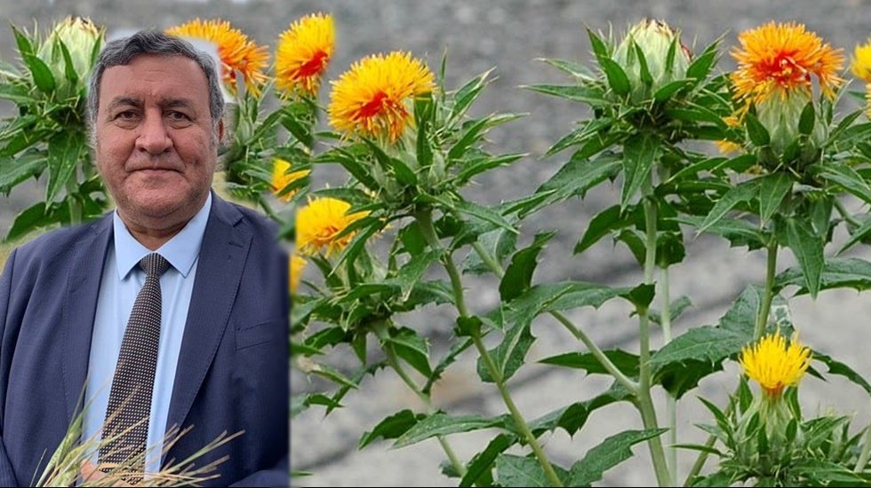 G&uuml;rer: &ldquo;S&uuml;s bitkilerinde KDV oranı y&uuml;zde 8&rsquo;e indirilmeli&rdquo;