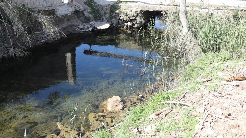 M&uuml;silaj tehlikesine karşı Antalya&rsquo;nın su kaynakları yakından inceleniyor