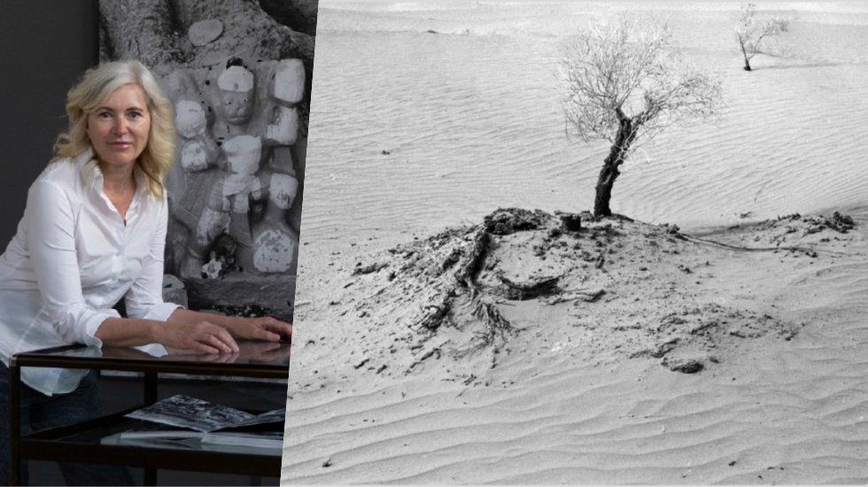 Sergi: İpek yolu'nda ve zamanda geriye yolculuk