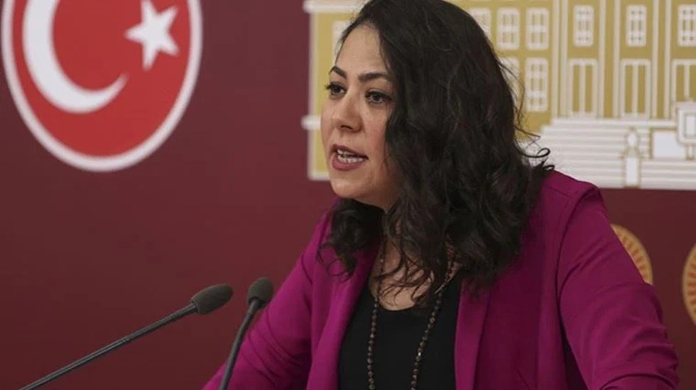 CHP&rsquo;den se&ccedil;ilip TİP'e ge&ccedil;en Sera Kadıgil: 'Meclis, yaşlı, heteroseks&uuml;el erkekler kul&uuml;b&uuml;'