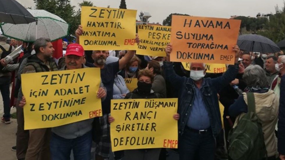 'Zeytin Hayattır, Hayatıma Dokunma'