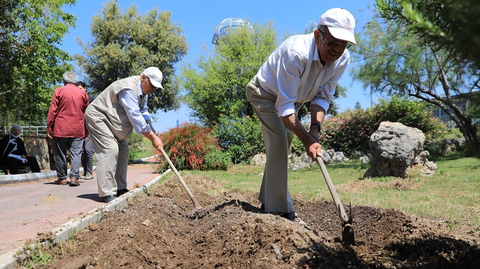 Alzheimer hasta yakınları biber ve fesleğen dikti