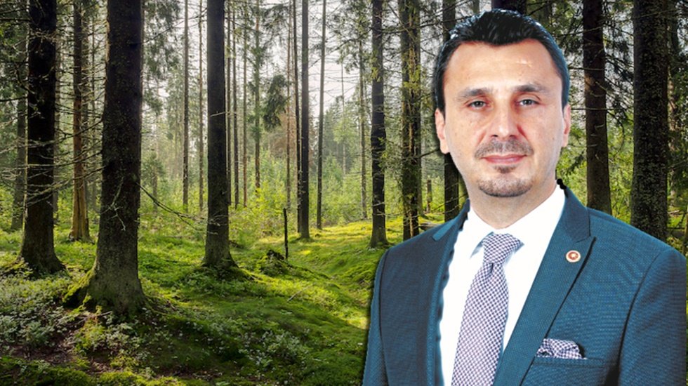 &ldquo;Fabrikaları, madenleri, limanları satan iktidar, şimdi de ormanları satıyor&rdquo;