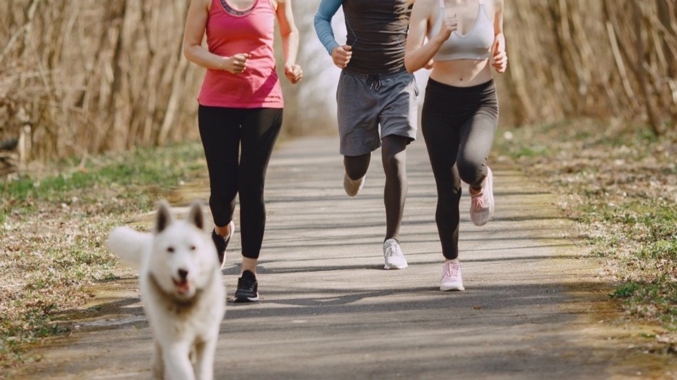 Irk g&ouml;zetmeksizin patili dostlarla rekabetsiz koşu
