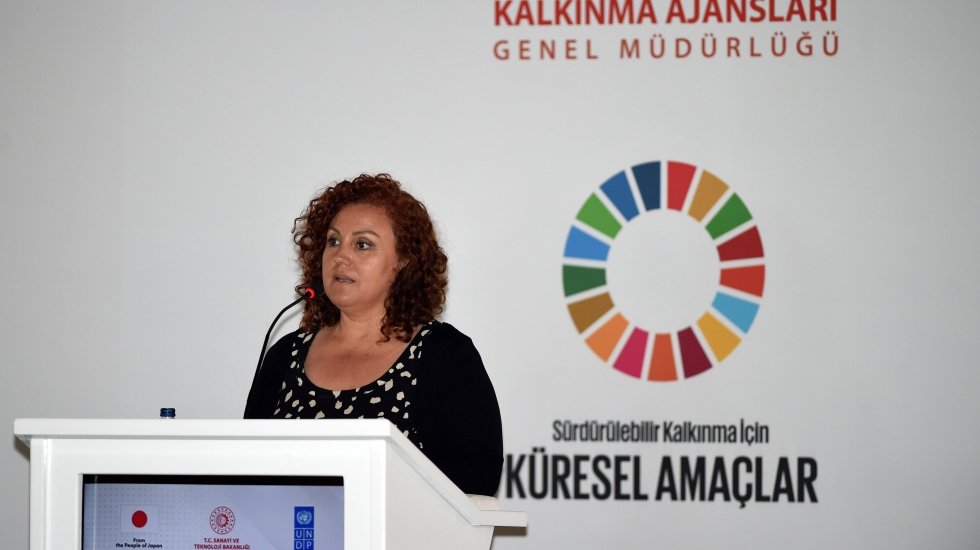 UNDP, T&uuml;rkiye&rsquo;de kadın girişimciler ve kadın kooperatifleri i&ccedil;in iş fırsatlarını destekliyor