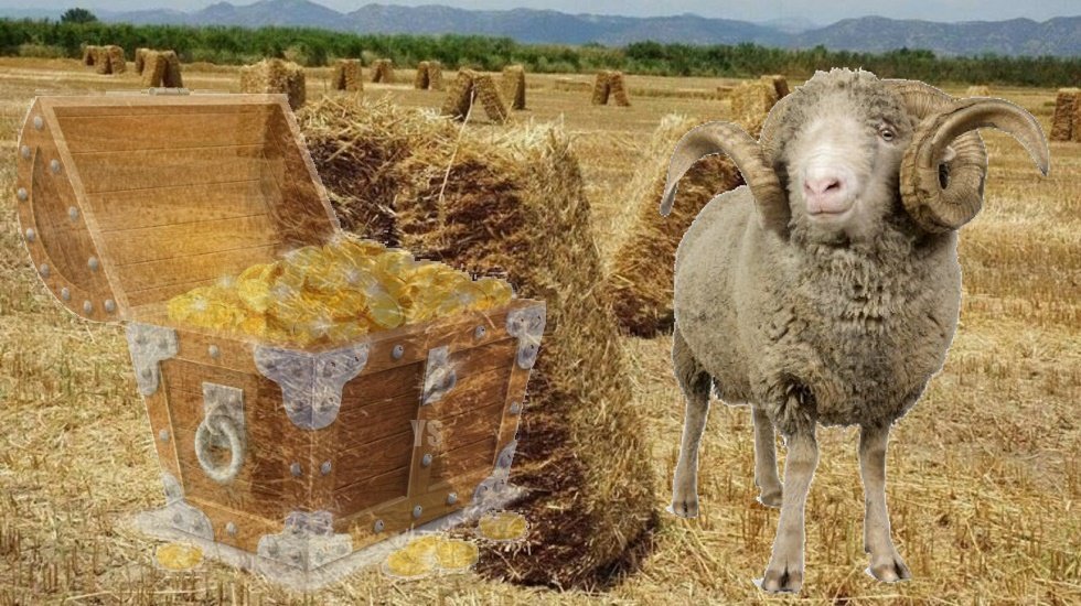 Yem fiyatları sarı altın olunca, hayvanlar a&ccedil; a&ccedil; kesime g&ouml;nderiliyor!