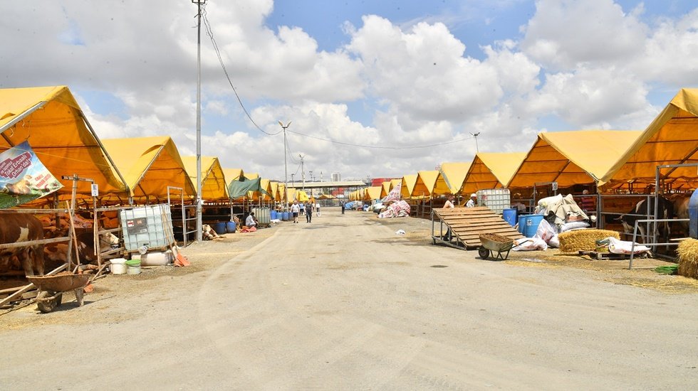 Beylikdüzü’nde kurban satış ve kesim alanı bayrama hazır