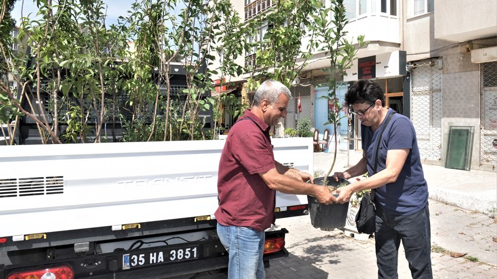 Bornovalılara &nbsp;&uuml;cretsiz meyve fidanı