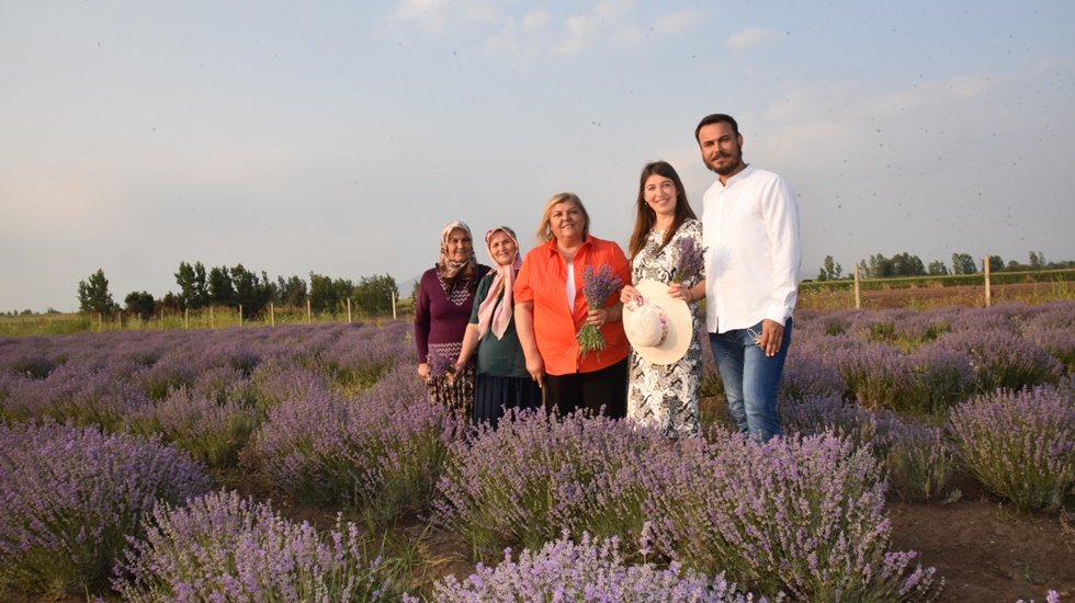 Ceyhanlı kadınlar lavanta &uuml;retiyor