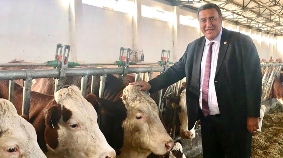 İthalat&ccedil;ı kafalar tarımın hayvancılığın dibine kibrit suyu d&ouml;kt&uuml;ler