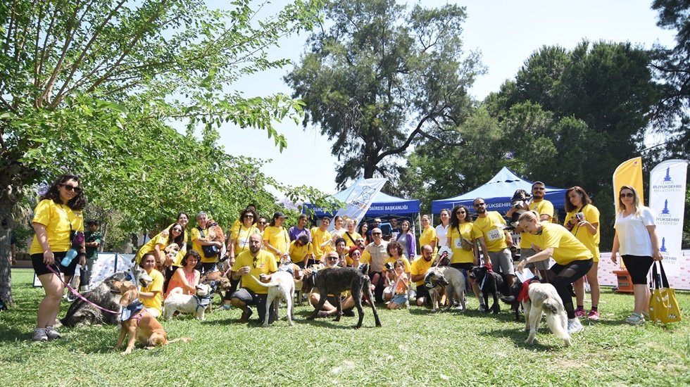 K&ouml;pekleriyle koştular&hellip;