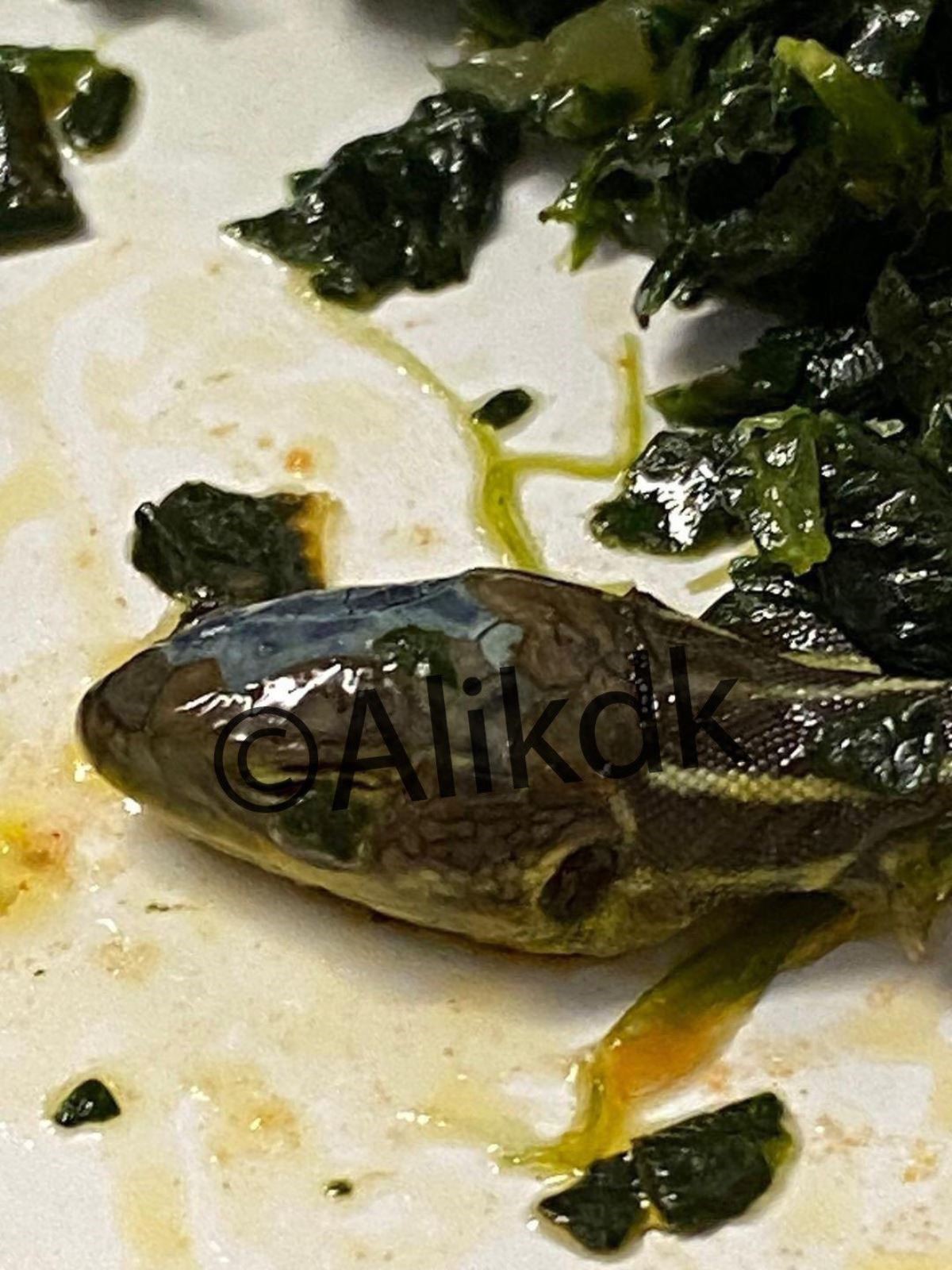 https://yenisoluk.com/uploads/2022/07/1 (4)