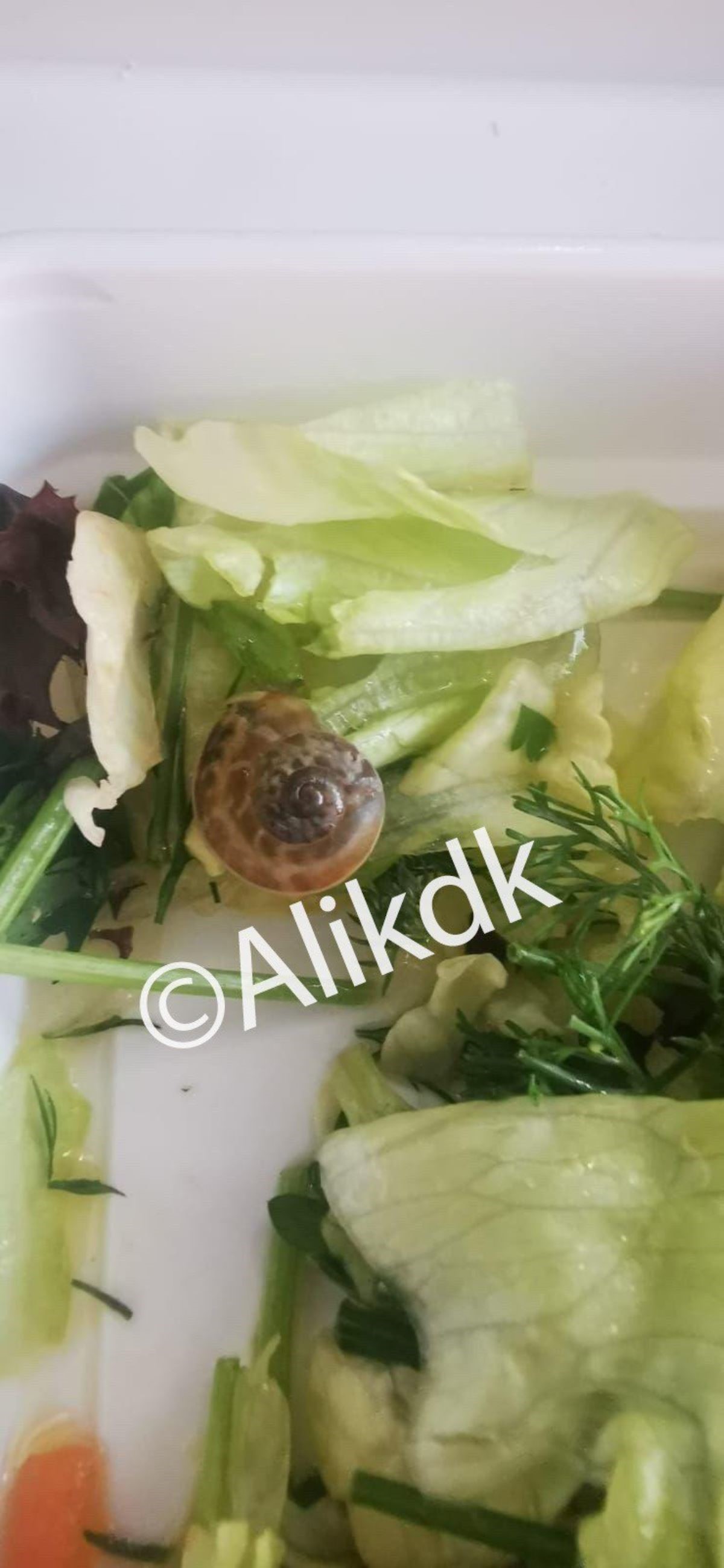 https://yenisoluk.com/uploads/2022/07/2 (4)