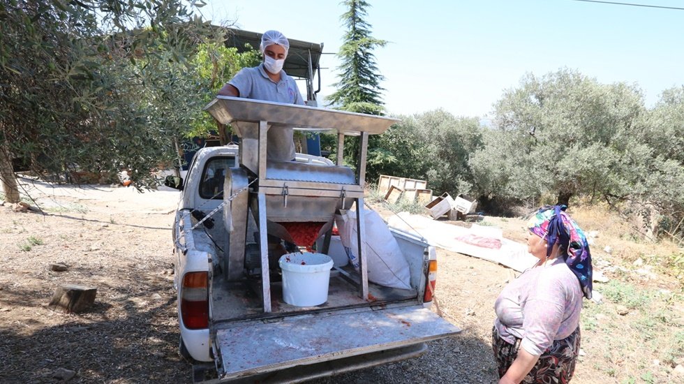 Ezilenler domates olsun... Şimdi sal&ccedil;a zamanı