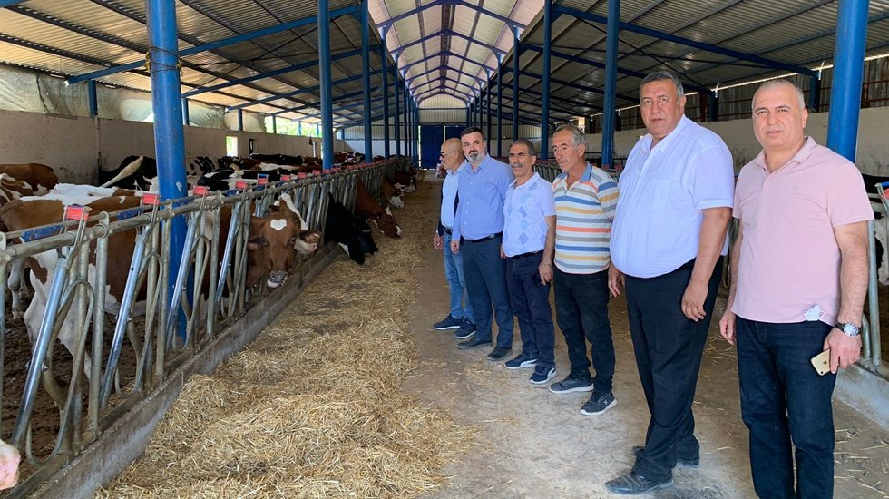 &nbsp;Hayvanlar a&ccedil; kalıyor. G&uuml;nl&uuml;k 20 kilo yem verilmesi gerek ancak besici 8 kilo verebiliyor...