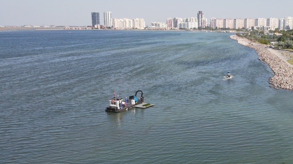 İzmir B&uuml;y&uuml;kşehir Belediyesi&rsquo;nden deniz marulu temizliği