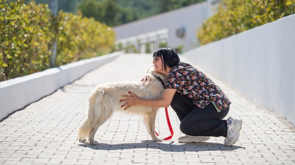 Sosyal Yaşam Kamp&uuml;s&uuml;&rsquo;nde kedi ve k&ouml;pekler hem tedavi ediliyor hem de sahiplendiriliyor...