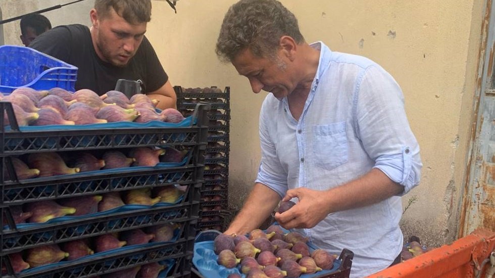 Bursa'nın Siyah İnciri dalında kaldı