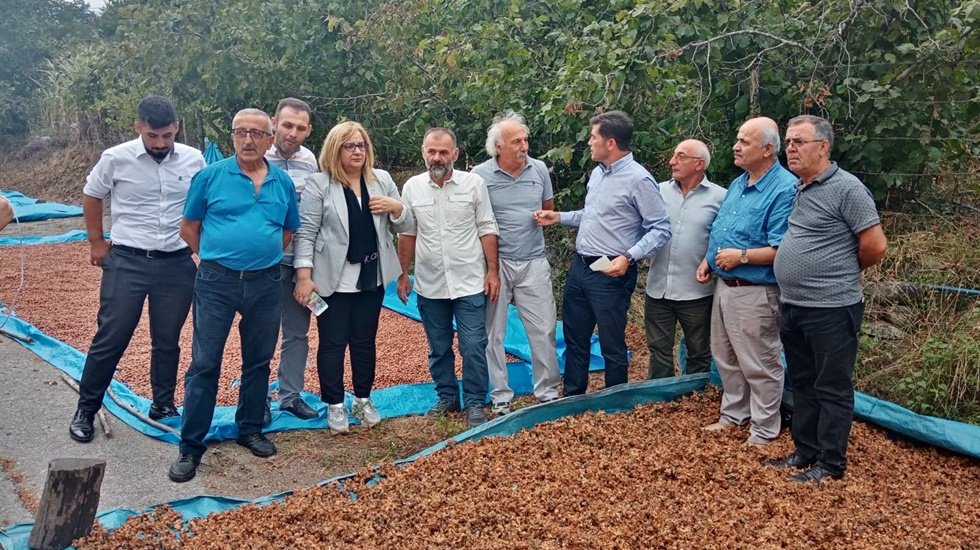 CHP&rsquo;li Kaya: &ldquo;Fındığa iyi fiyat verdik diye milleti aldatmaya &ccedil;alışıyorlar&rdquo;