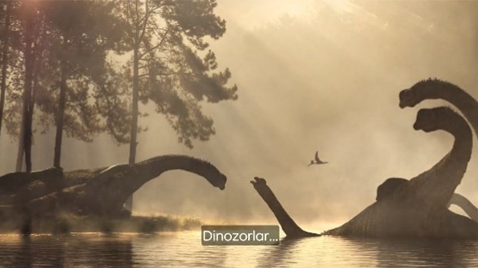 Dinozorlar kaç yıl yaşıyordu?