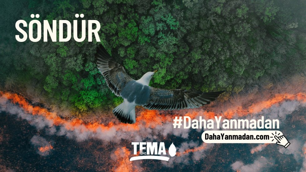 Orman yangınlarını &ouml;nlemek s&ouml;nd&uuml;rmekten daha kolay
