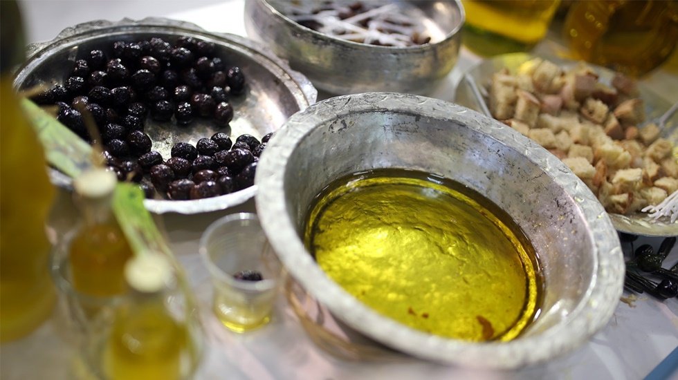 &ldquo;Terra Madre&rdquo; Almanya&rsquo;nın yakın takibinde