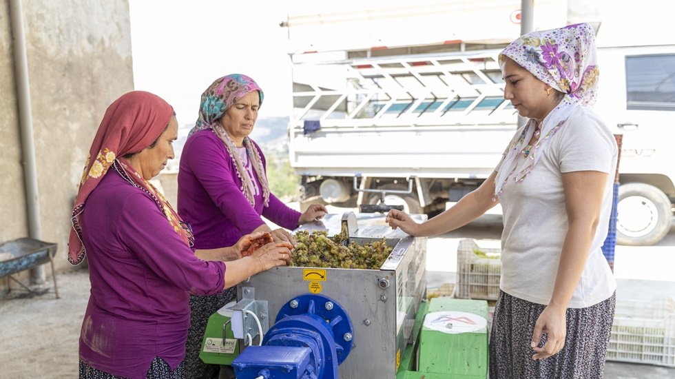 Yıllardır &uuml;z&uuml;m&uuml; ayakla &ccedil;iğneyen k&ouml;yl&uuml; &uuml;reticiler artık sadece makineyi izliyor