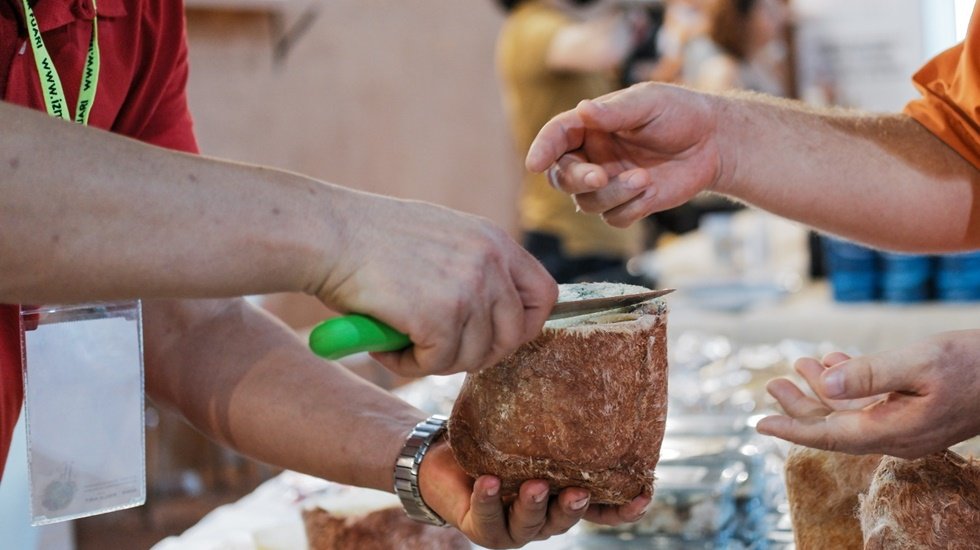46 &uuml;lkeden 392 katılımcı Terra Madre Anadolu &uuml;reticinin y&uuml;z&uuml;n&uuml; g&uuml;ld&uuml;rd&uuml;