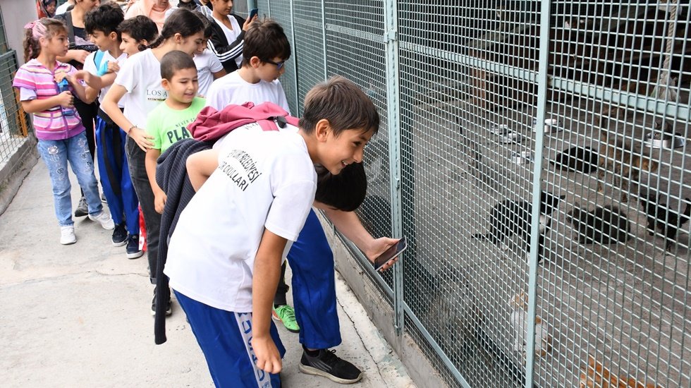 Çocuklar hayvanlarla buluştu