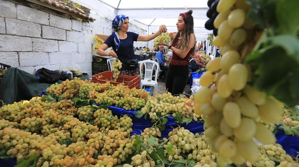 Şerefine Salkım Hanım Osmancık &Uuml;z&uuml;m Şenliği G&ouml;k&ccedil;ealan&rsquo;da