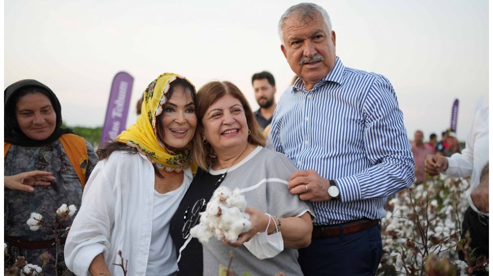 Türkan Şoray, kendi adının verildiği pamuğun hasadına katıldı