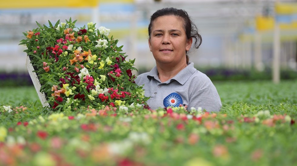3 milyon &ccedil;i&ccedil;ek Antalya sokaklarını s&uuml;sleyecek