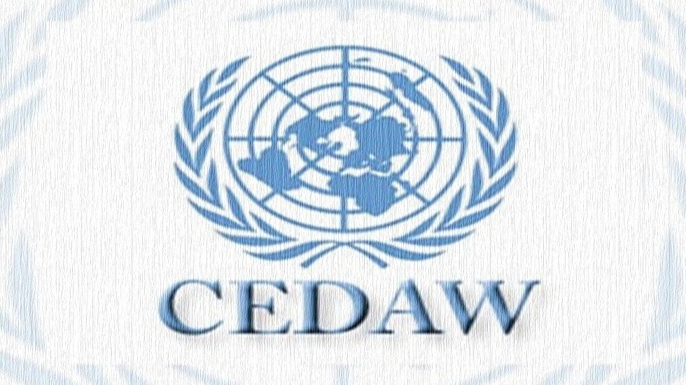 CHP&rsquo;den CEDAW T&uuml;rkiye raporu notu: Raporun resmi &ccedil;evirisi neden hala yapılmadı?