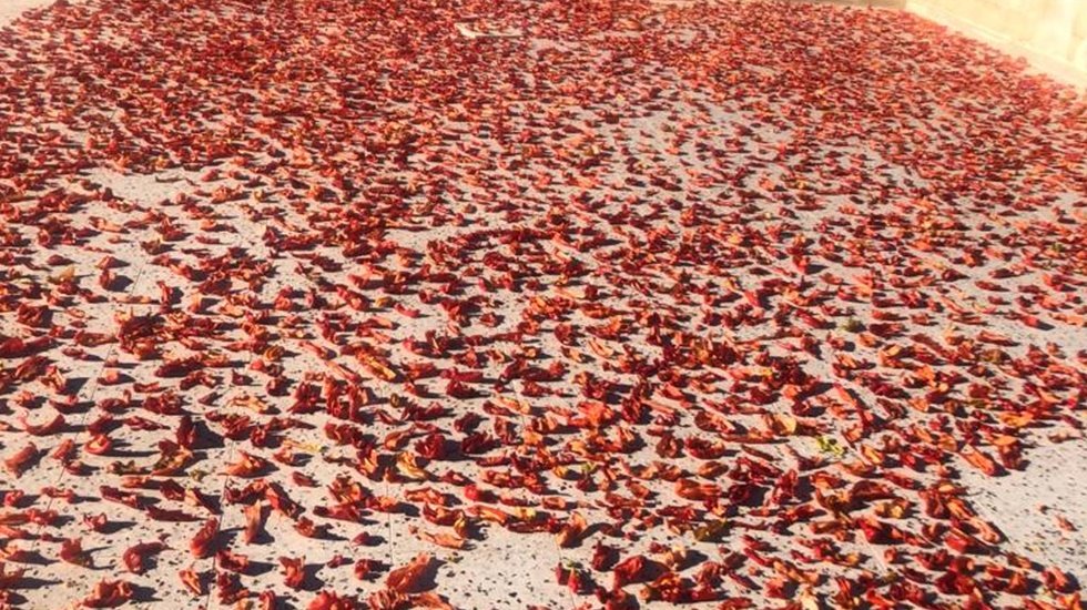 İyi para edince hırsızlar issot'a dadandı