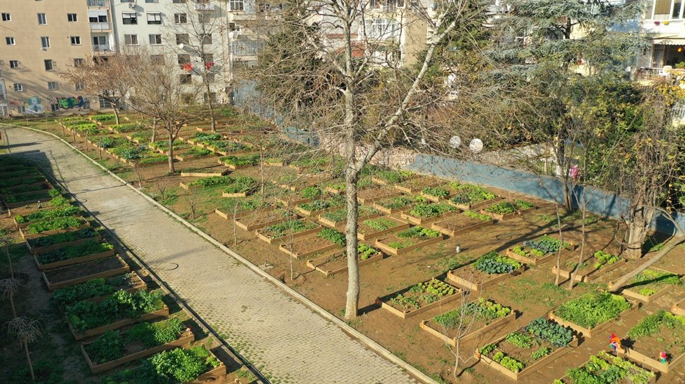 Kadıköy Bostanlarına Sağlıklı Kentler Birliği’nden En İyi Uygulama Ödülü
