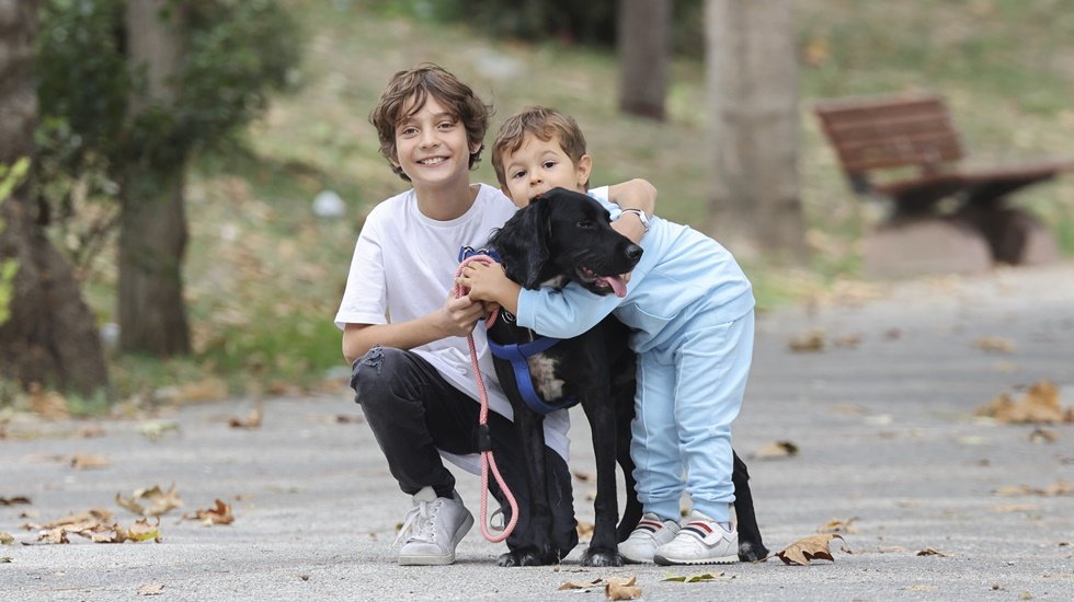 “Sahiplen İstanbul” projesi sayesinde 100’e yakın köpek, sahiplendirildi...